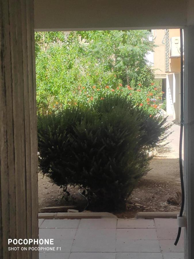 Ferienwohnung סוויטה של אלון Arad Exterior foto